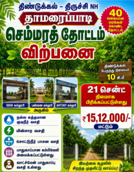Farm House for Sale in Thamaraipadi, Dindigul (1200 Sq.ft.)