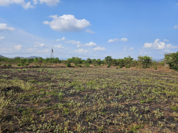 River Touch Agriculture Land Near Mangaon