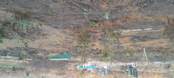Commercial Lands /Inst. Land For Sale In Mangaon, Raigad (222 Guntha)