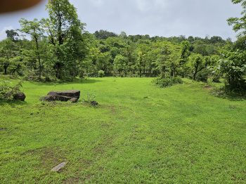 30 Acre Agriculture Land For Sale Near Mangaon | Just 7 Km From Mangaon