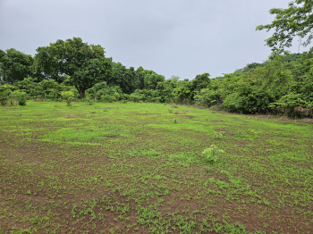 20 acre resale plot near Mangaon, Raigad