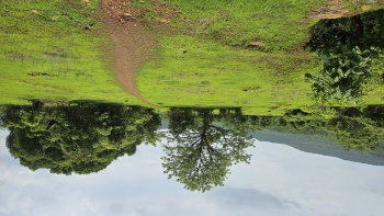 25 acre Resale Plot | Just 7 km from Mangaon, Raigad, Maharashtra