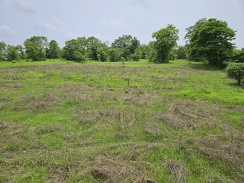 50 gunthe road touch plot | Near Mangaon, Raigad