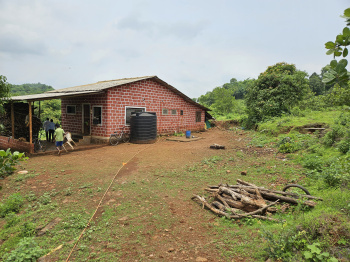 Developed 6.5 Acre Farmhouse for Sale near Mangaon, Raigad (Maharashtra)