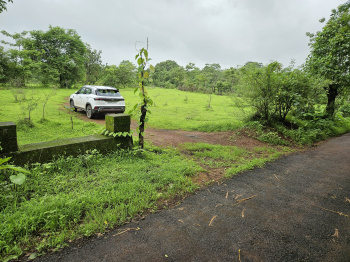 Agricultural/Farm Land for Sale in Roha, Raigad (5 Acre)