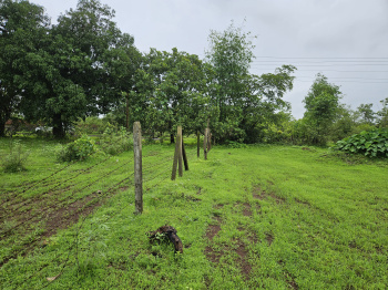 5 acre, Road touch, Table plot