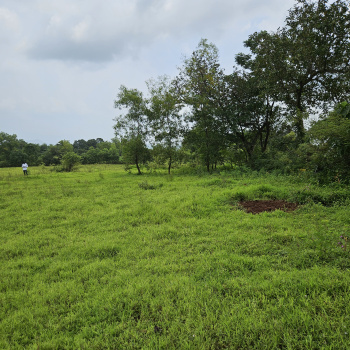 Road Touch Plot | Resale Plot | Clear Title Plot