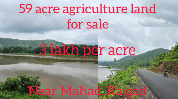 59 acre agriculture land | 3 Lakh per acre | Mahad, Raigad