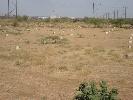 Residential Land for Sale@rajkot