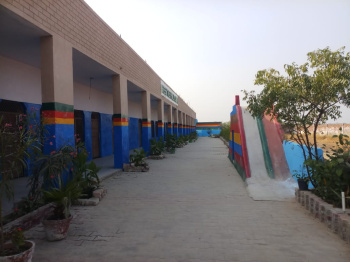 Running School Class LKg To 8th