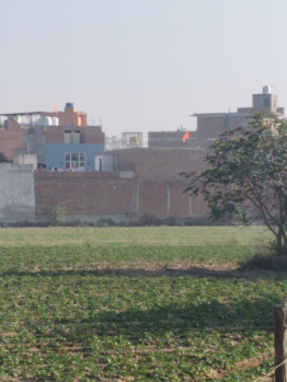 Commercial Lands /Inst. Land for Sale in Chhatikara Road, Vrindavan (700 Sq. Yards)