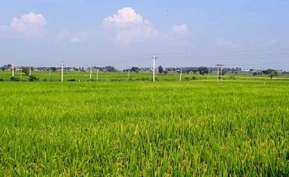 26 Acre Agricultural/Farm Land for Sale in NH 2, Palwal
