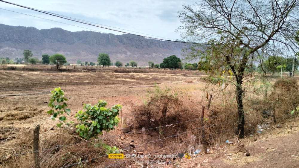 14 Acre Agricultural/Farm Land for Sale in Katangi, Jabalpur