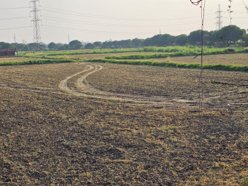 Property for sale in Rehli, Sagar