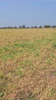 Property for sale in Rehli, Sagar