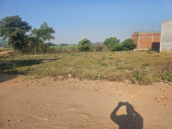 Property for sale in Adhartal, Jabalpur