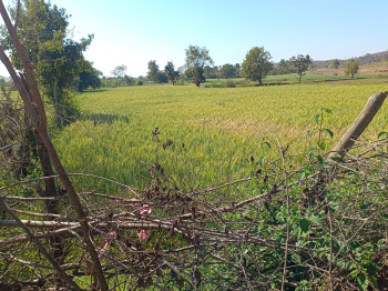 Property for sale in Panagar, Jabalpur