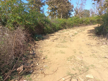 Property for sale in Panagar, Jabalpur