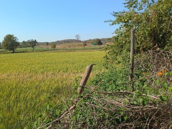 Property for sale in Panagar, Jabalpur