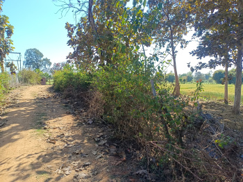 Property for sale in Panagar, Jabalpur