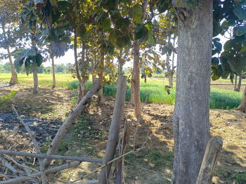 Property for sale in Panagar, Jabalpur