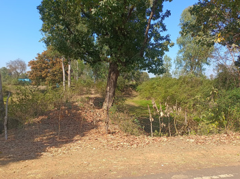 Property for sale in Panagar, Jabalpur