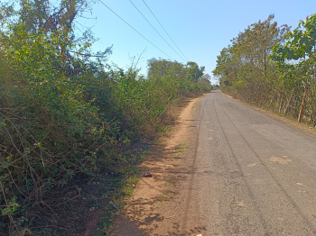 Property for sale in Panagar, Jabalpur