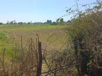Property for sale in Panagar, Jabalpur
