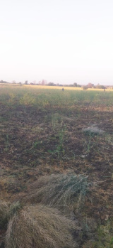 Property for sale in Katra Bazar, Sagar