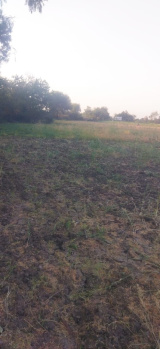 Property for sale in Katra Bazar, Sagar