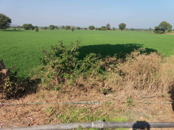 Property for sale in Shamshahbad, Vidisha