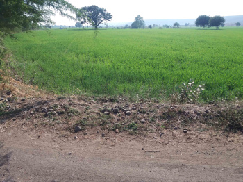 Property for sale in Shamshahbad, Vidisha