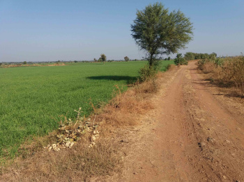Property for sale in Shamshahbad, Vidisha