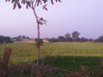 Property for sale in Rehli, Sagar