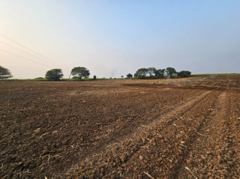 Property for sale in Gotegaon, Narsinghpur