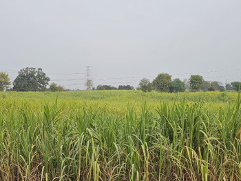 Property for sale in Gotegaon, Narsinghpur