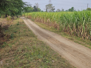 Property for sale in Gotegaon, Narsinghpur