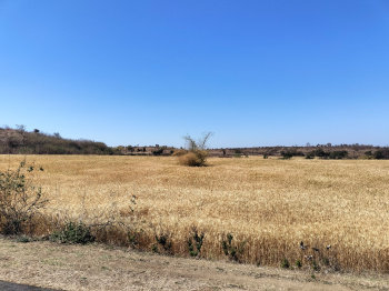 Property for sale in Lakhnadon, Seoni
