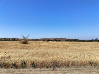 Property for sale in Lakhnadon, Seoni