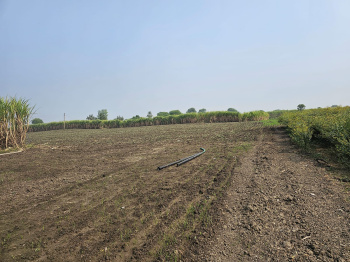 Property for sale in Kareli, Narsinghpur