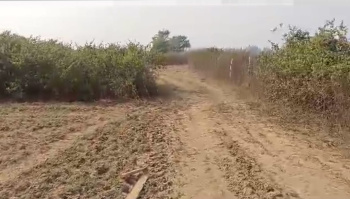 Property for sale in Sleemanabad, Katni