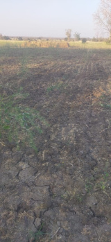 Property for sale in Rehli, Sagar