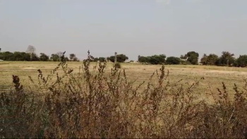 Property for sale in Khurai, Sagar