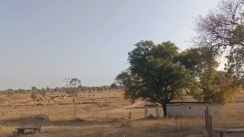 Property for sale in Jabera, Damoh