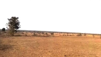 Property for sale in Jabera, Damoh