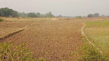 Property for sale in Maihar, Satna
