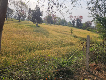 Property for sale in Panagar, Jabalpur