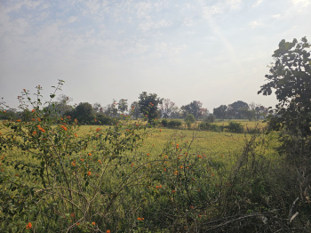 Property for sale in Panagar, Jabalpur