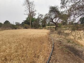 Property for sale in Barela, Jabalpur