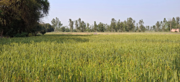 Property for sale in Purquazi, Muzaffarnagar